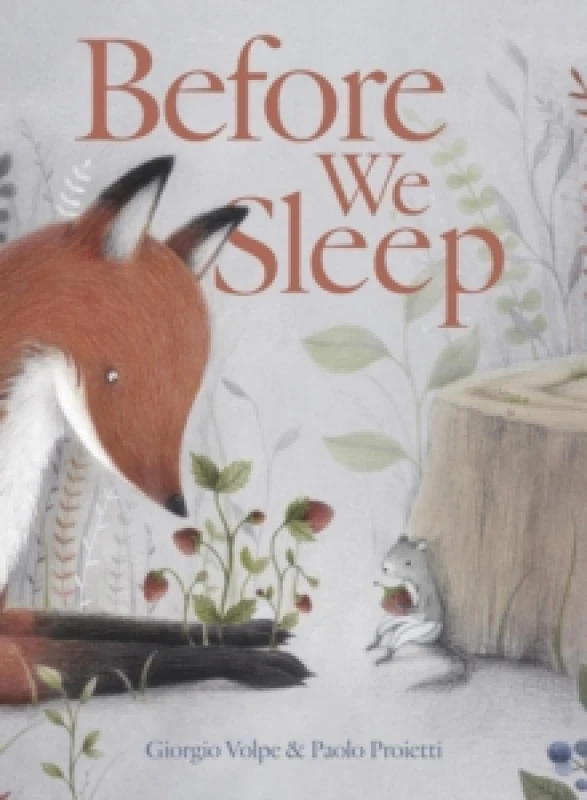 Image of Before We Sleep Hardback