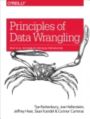 Image of principles of data wrangling practical techniques for data preparation