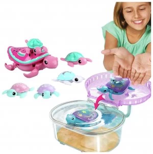 Image of Little Live Pets Swimstar Turtle Tank Special Set