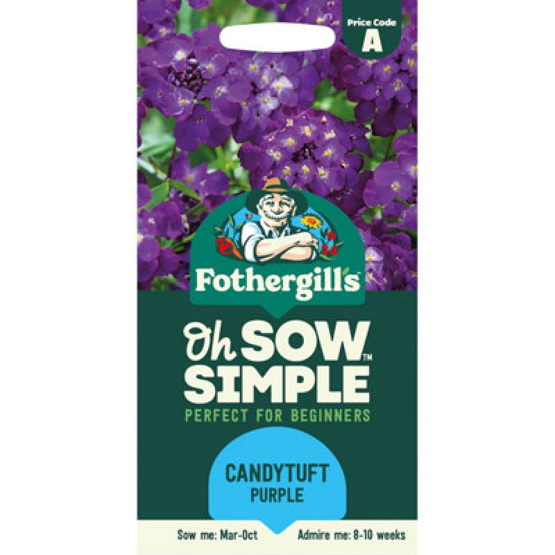 Image of Mr Fothergills Purple Candytuft Flower Seeds