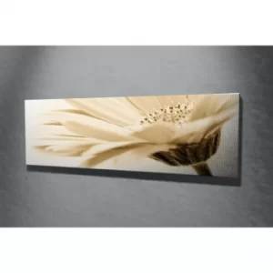 Image of PC003 Multicolor Decorative Canvas Painting