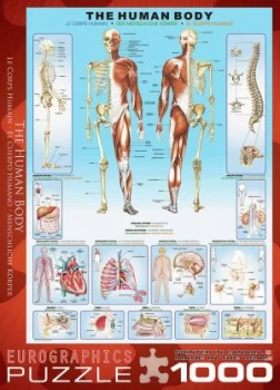 Image of Eurographics 1000 Piece The Human Body Puzzle