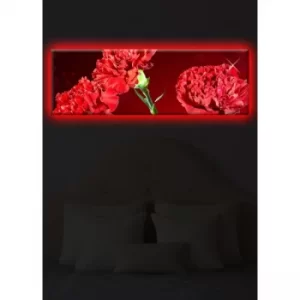 Image of 3090DACT-25 Multicolor Decorative LED Lighted Canvas Painting