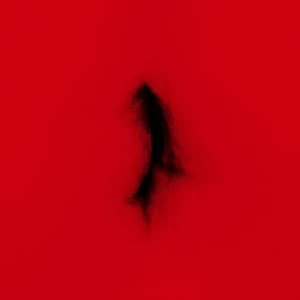 Image of Dingwei - Untied Vinyl