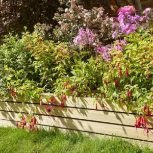 Image of Rowlinson Ledbury Lawn Edging Panels 8" - 2 Pack, Wood