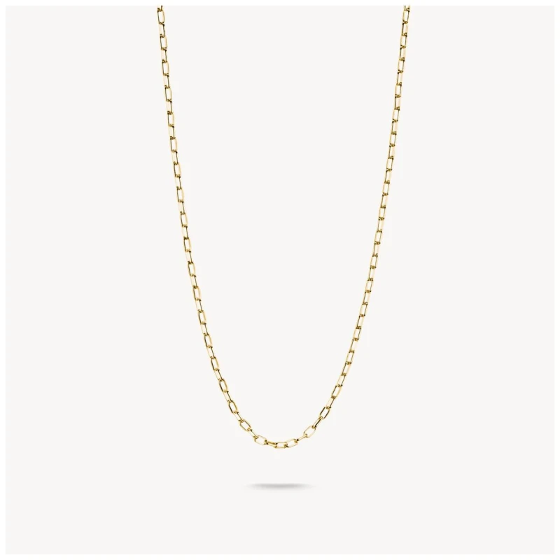 Image of Thomas Sabo KE2328-413-39-L45V Charm Necklace Paperclip Gold Jewellery