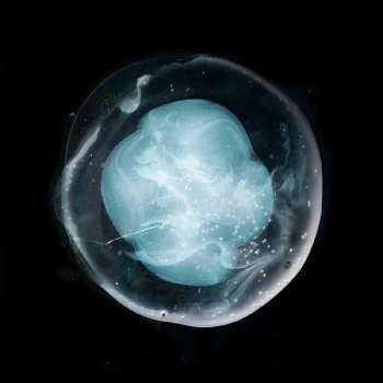 Image of A Winged Victory For The Sullen - The Undivided Five 2019 Vinyl