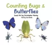 Image of Counting Bugs & Butterflies Insect Art by Christopher Marley Board Book
