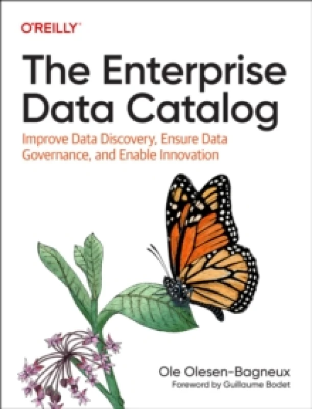 Image of The Enterprise Data Catalog : Improve Data Discovery, Ensure Data Governance, and Enable Innovation Paperback / softback