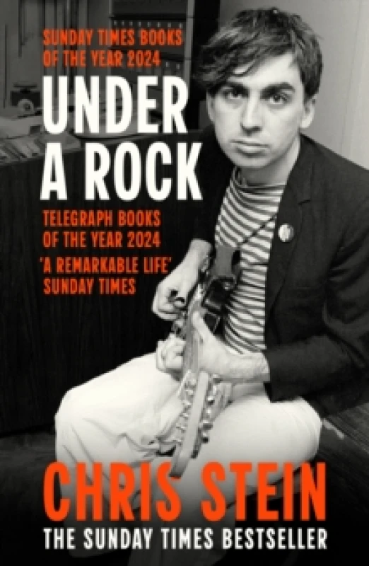 Image of Under A Rock Paperback / softback