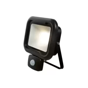 Image of Robus Remy Black 20W LED Flood Light With PIR & Junction Box - Cool White