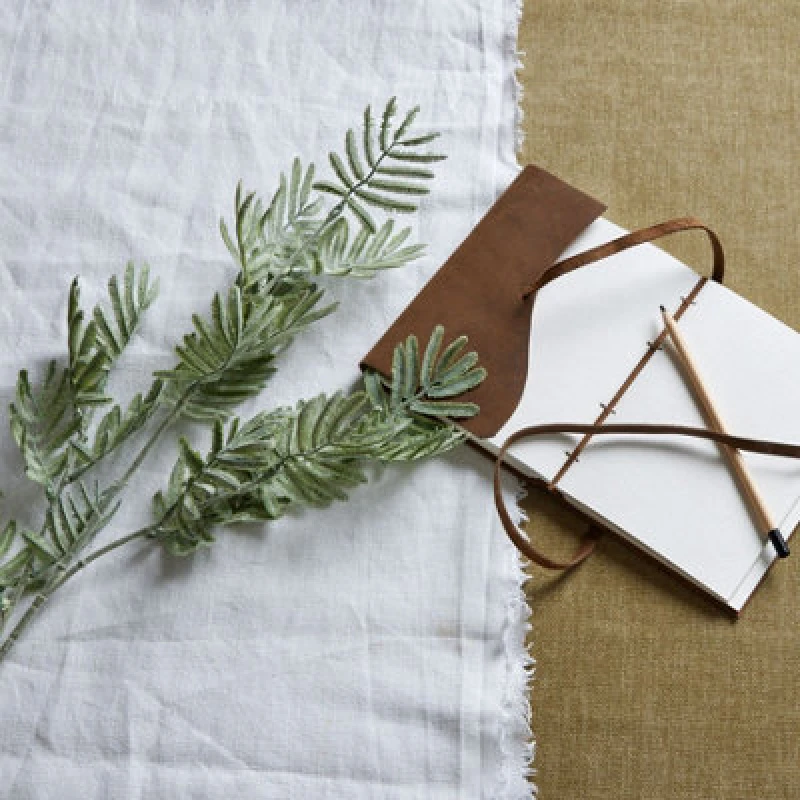 Image of Silver Wattle Leaf
