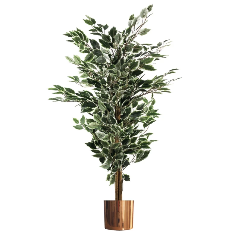 Image of N/A 130cm Variegated White/Green Bushy Ficus Tree Copper Metal Planter
