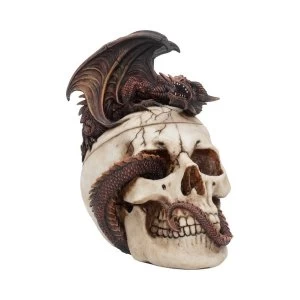 Image of Draconic Craniotomy Skull Figure