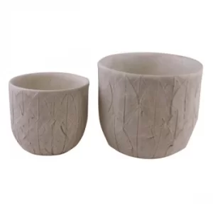 Image of Set of 2 Cement Embossed Leaf Planters