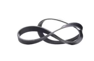 Image of RIDEX V-ribbed belt BMW,OPEL,RENAULT 305P0419 11287560485,11287631812,4416361 4418674,4434596,4435288,93186955,93195484,93198382,93198514,8200465689