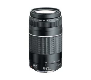 Image of Canon EF 75-300 mm f-4.0-5.6 III USM Telephoto Zoom Lens