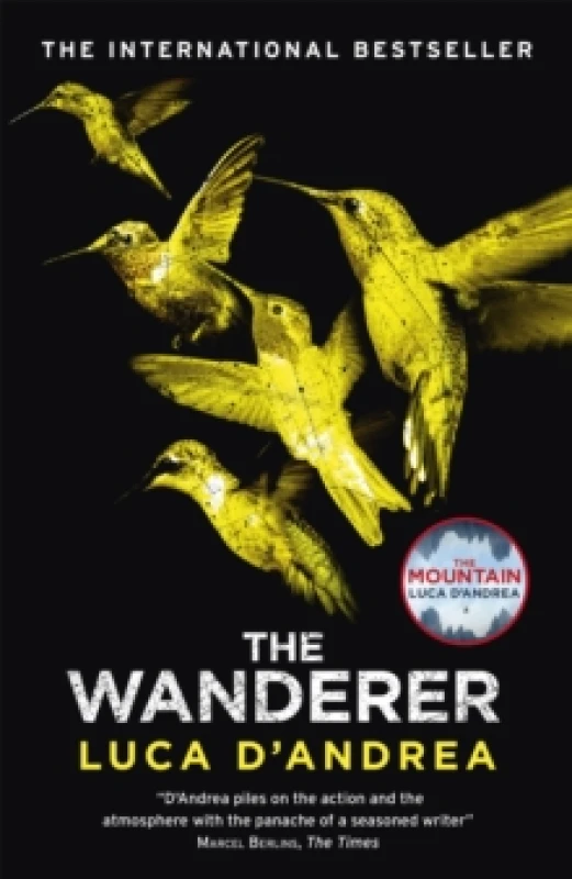 Image of The Wanderer : The Sunday Times Thriller of the Month Paperback / softback