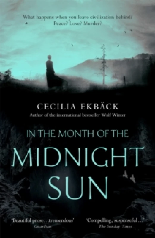 Image of In the Month of the Midnight Sun Paperback / softback