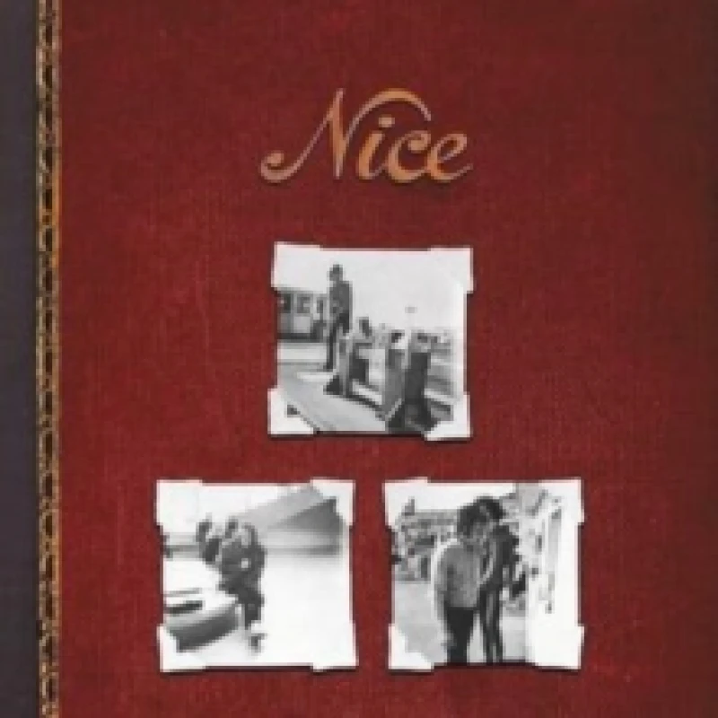 Image of Nice Vinyl