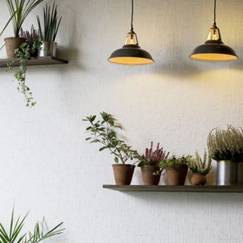 Image of Anaglypta Supaglypta Edward Rd0602