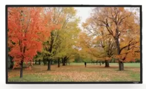 Image of Sapphire 121" SFSC266-SB Fixed Frame Projector Screen