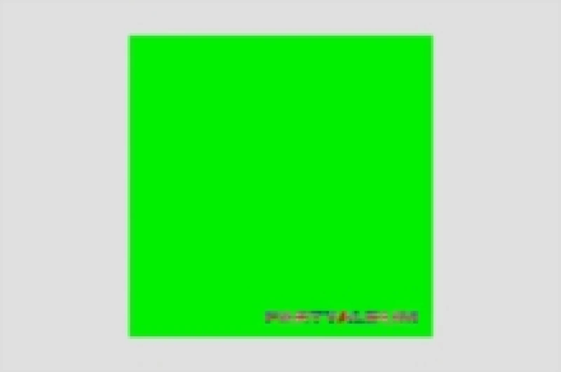 Image of Party Album Vinyl