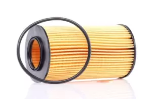 Image of PURFLUX Oil filter BMW,LAND ROVER,ROVER L307 AC6201E,11422247018,1109T9 Engine oil filter GFE391,LRF100150,LRF100150L