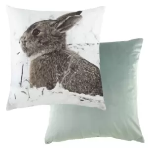 Image of Photo Hare Cushion Multicolour