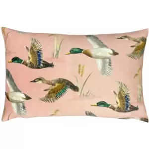 Image of Evans Lichfield - Country Duck Pond Print Cushion Cover, Blush, 40 x 60 Cm