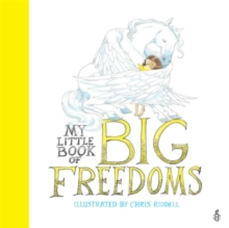 Image of My Little Book of Big Freedoms : The Human Rights Act in Pictures Paperback / softback