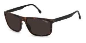 Image of Carrera Sunglasses 8047/S Asian Fit N9P/70