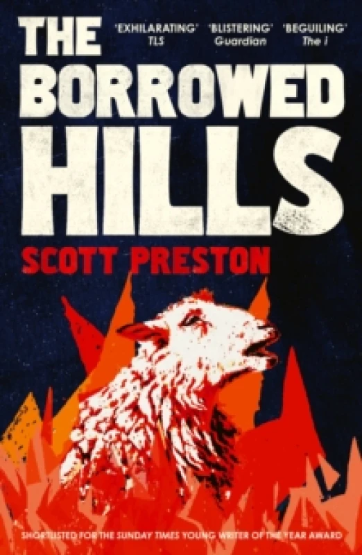 Image of The Borrowed Hills : 'A sucker-punch of a novel' Guardian Paperback / softback