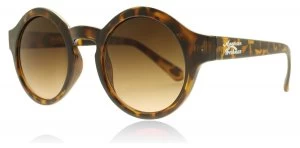 Image of American Freshman Piper Sunglasses Tortoise TORT 49mm