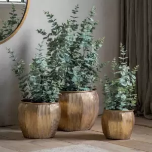 Image of Crossland Grove Potted Eucalyptus Bush Green H970Mm