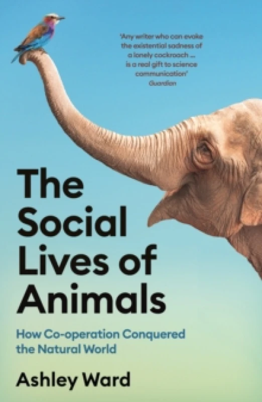 Image of The Social Lives of Animals : How Co-operation Conquered the Natural World Paperback / softback