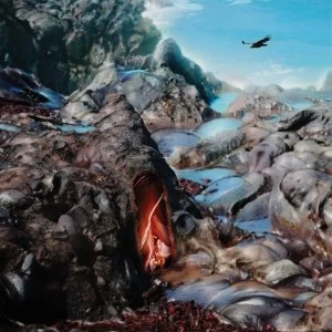 Image of Kleenex Girl Wonder - Vana Mundi Vinyl