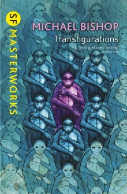 Image of Transfigurations Paperback / softback