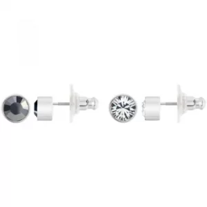 Image of Ladies Swarovski Stainless Steel Harley Earrings