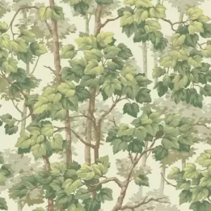 Image of Belgravia Decor Belgravia Decor Rivington Tree Wallpaper Cream