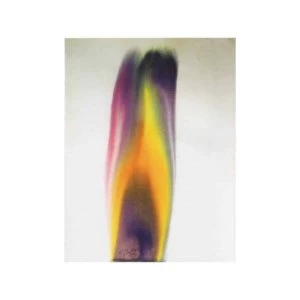 Image of Eliane Radigue - Chry-ptus Vinyl