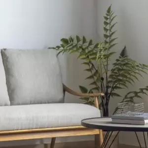 Image of Crossland Grove Butterfly Fern H1200Mm