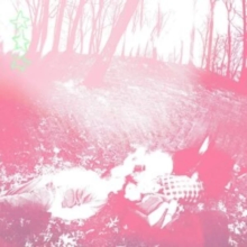 Image of Words from a Wishing Well Vinyl