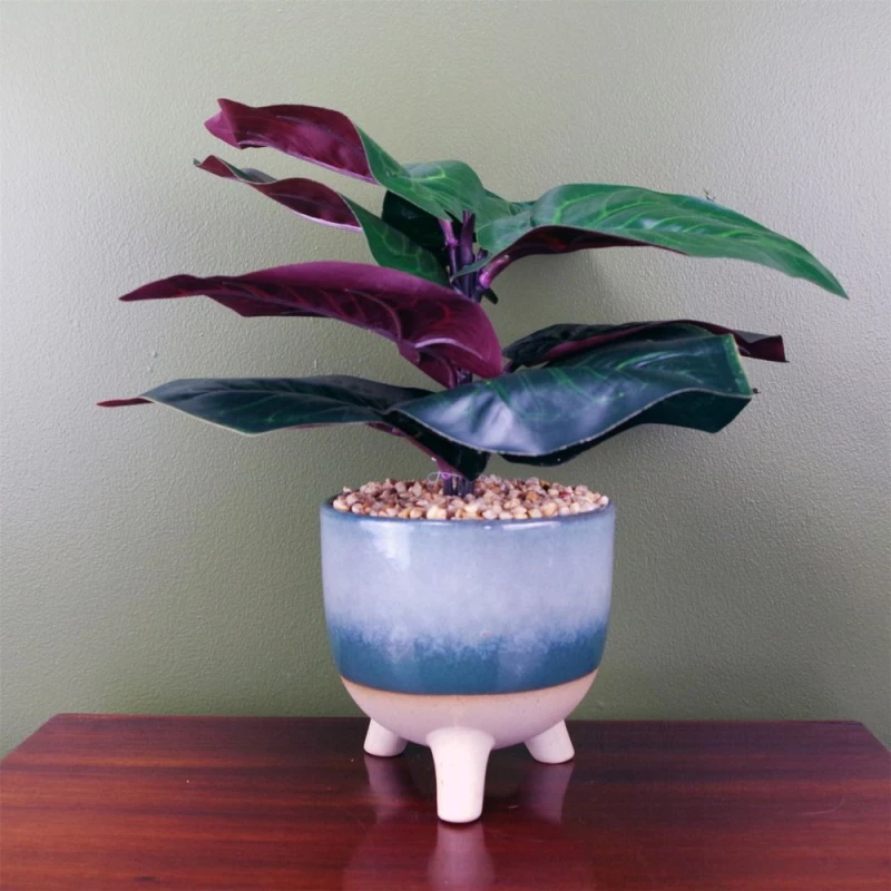 Image of Leaf Large Artificial Ficus Plant with Teal Blue Green Ceramic Planter Botanik Blue
