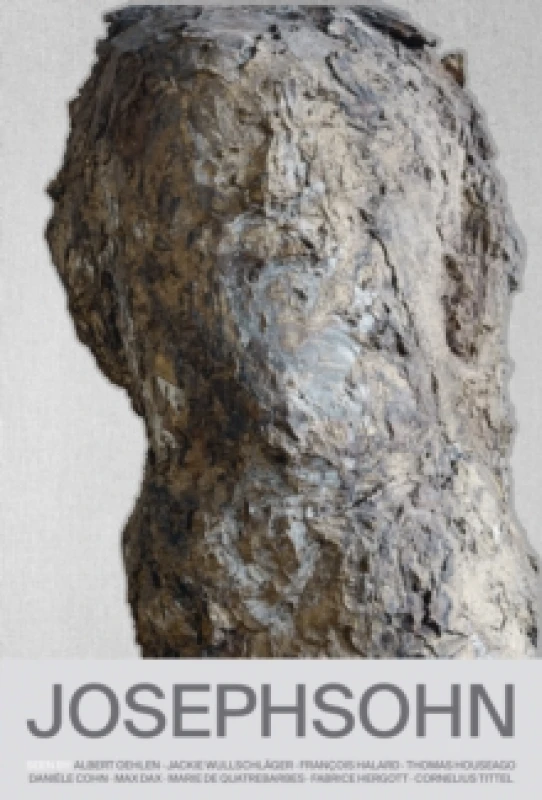 Image of Hans Josephsohn Hardback