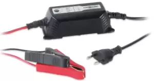 Image of Ansmann ALCT 6-24/2