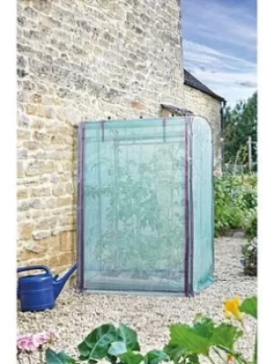 Image of Smart Garden Tomato Grozone Max Cover