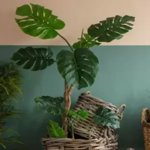 Image of Crossland Grove Faux Monstera Tree 1600Mm