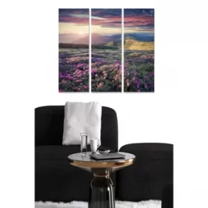 Image of MDF7410620 Multicolor Decorative MDF Painting (3 Pieces)