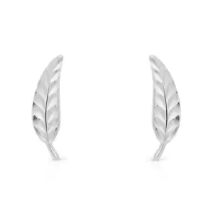 Image of JG Fine Jewellery 9ct White Gold Feather Stud Earrings